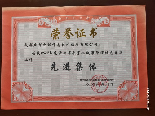 荣誉证书-泸州市数字化城市管理中心