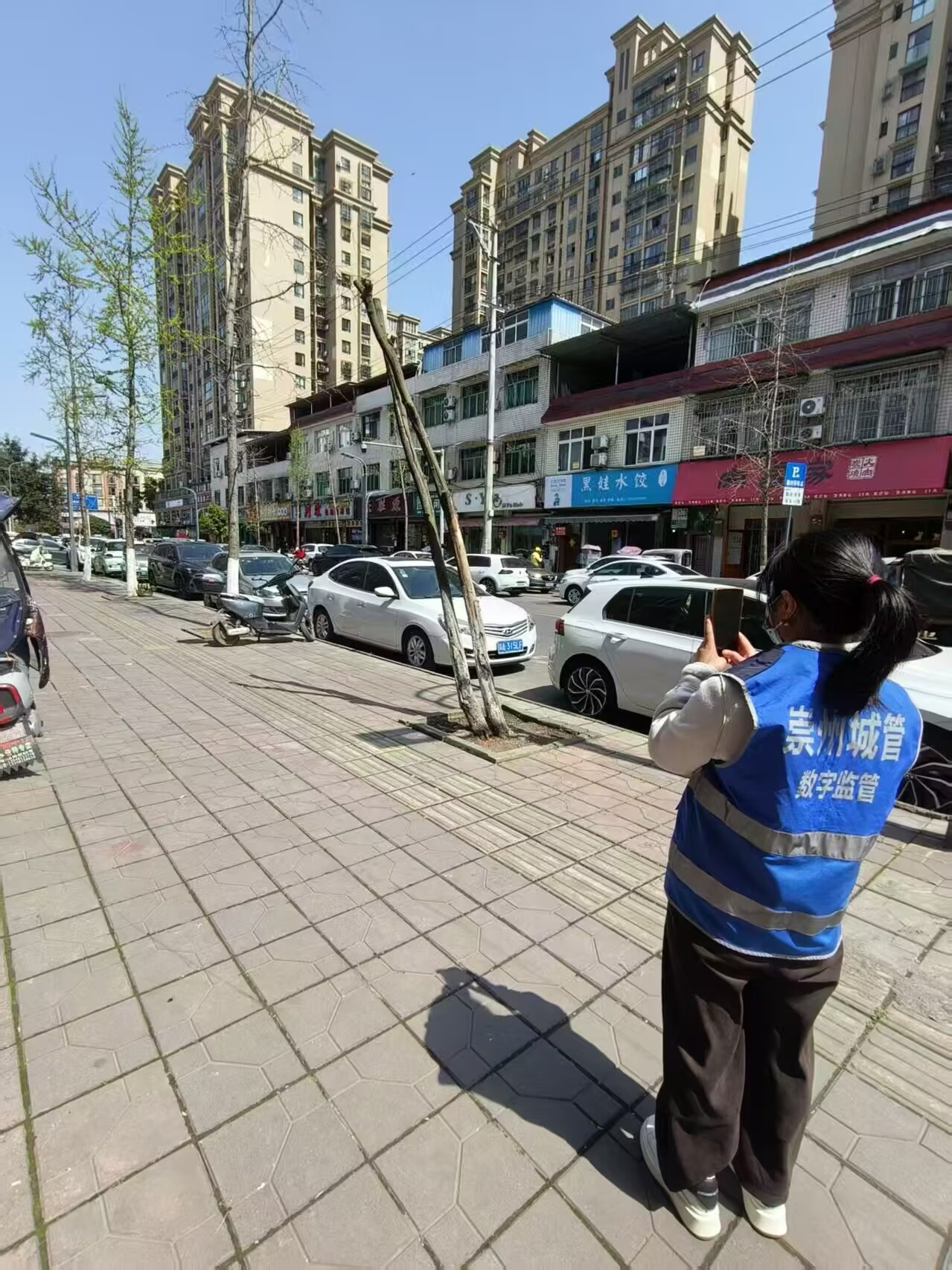 精细化排查护绿提质 筑牢城市绿化安全屏障